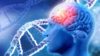 NSF-funded project seeks to uncover clues to Alzheimer’s, Parkinson’s and related diseases
