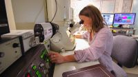 TEM-XRD facilities helping researchers across the state answer big questions