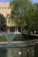 Staff Council presents 'Walk about the Duck Pond, Talk about the Trees'