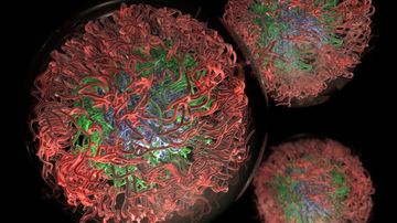 Engineered intrinsically disordered proteins provide biomedical insights