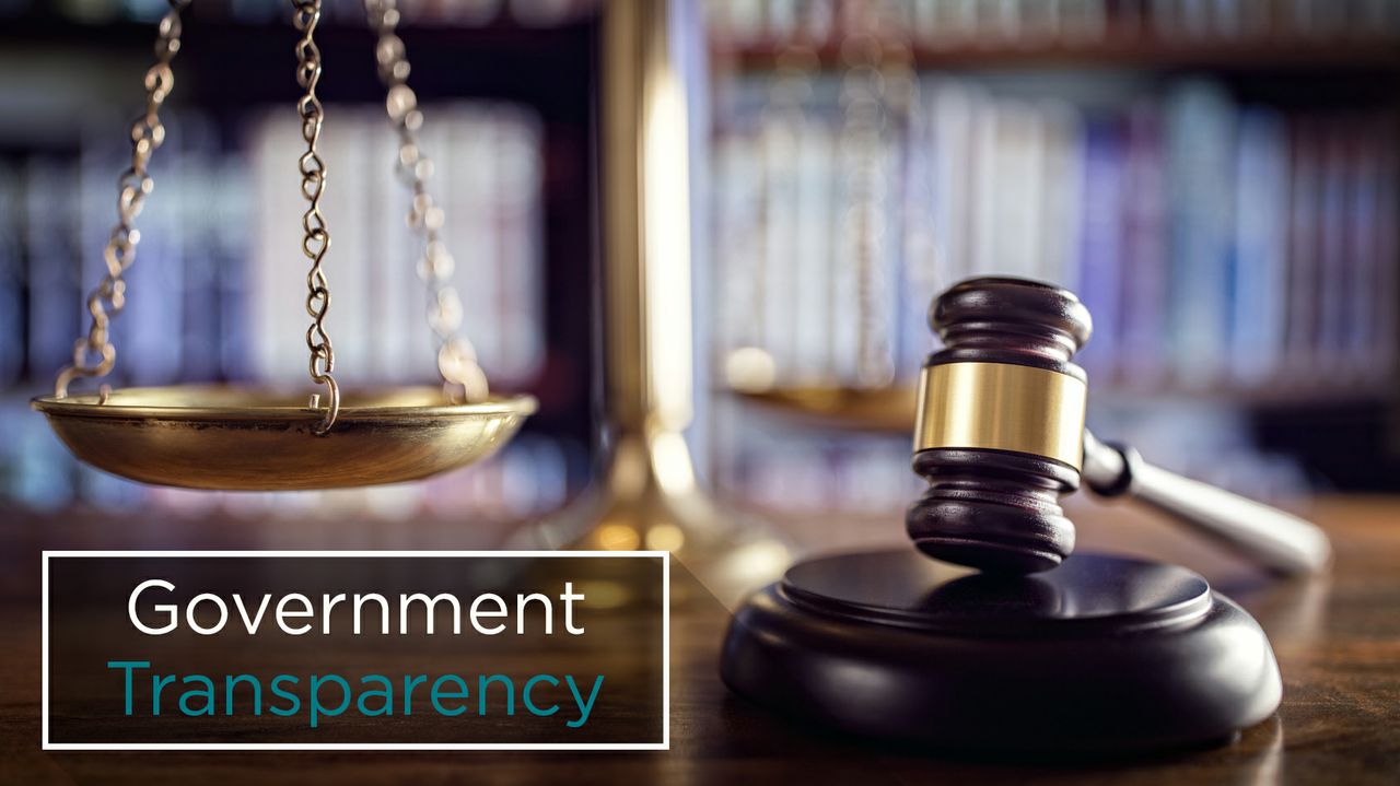 Government Transparency