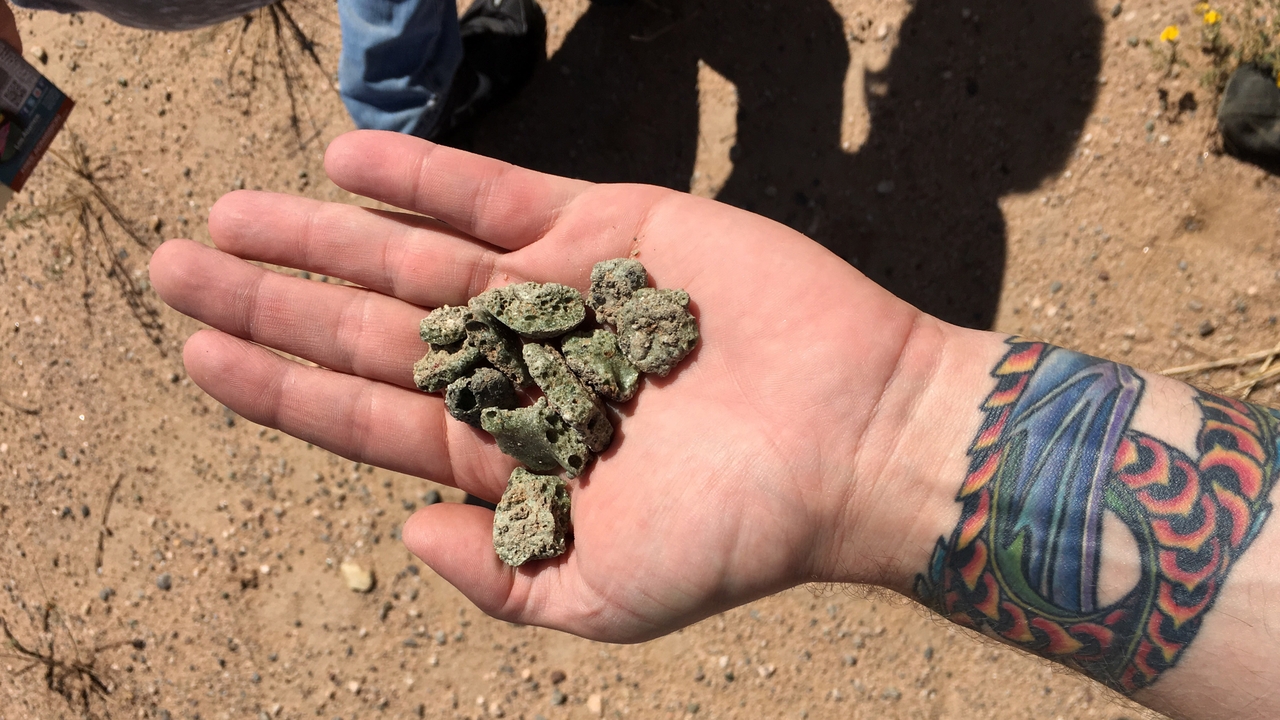 Field samples