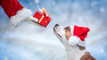 Happy Tails for the holidays