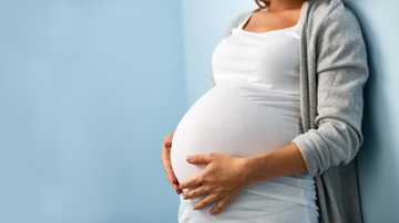 UNM researcher finds stress during pregnancy affects the size of the baby