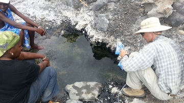 Role of carbon dioxide in climate evolution more significant than previously thought