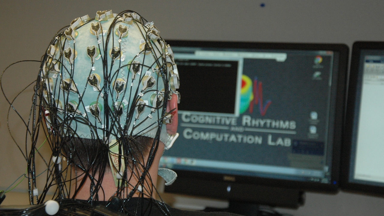 Cognitive Rhythms and Computation Lab