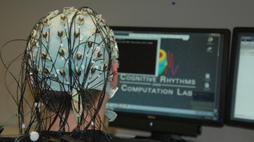 UNM researchers design patient repository for more effective EEG diagnoses 