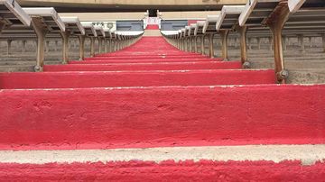 Support AGORA Crisis Center at the Stadium Stair Challenge