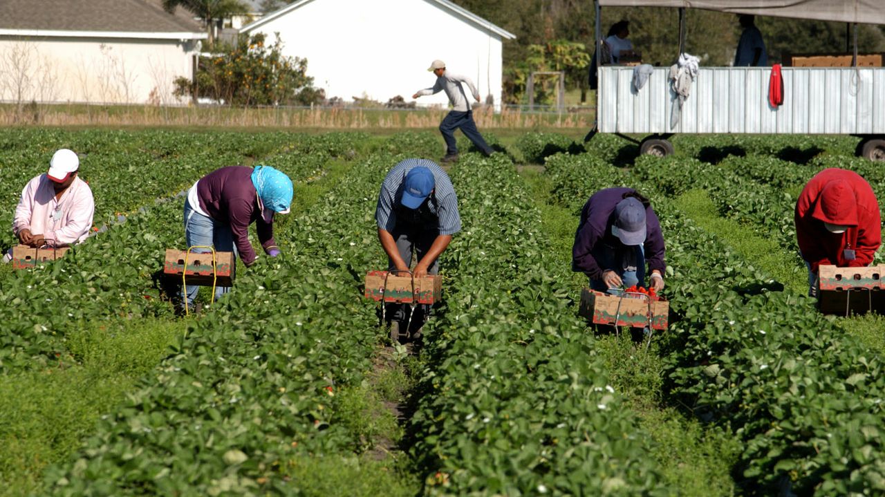 Farmworkers