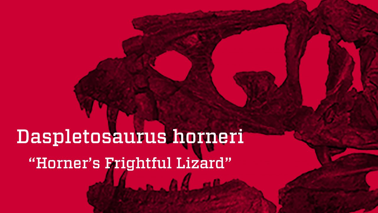 Horner's Frightful Lizard