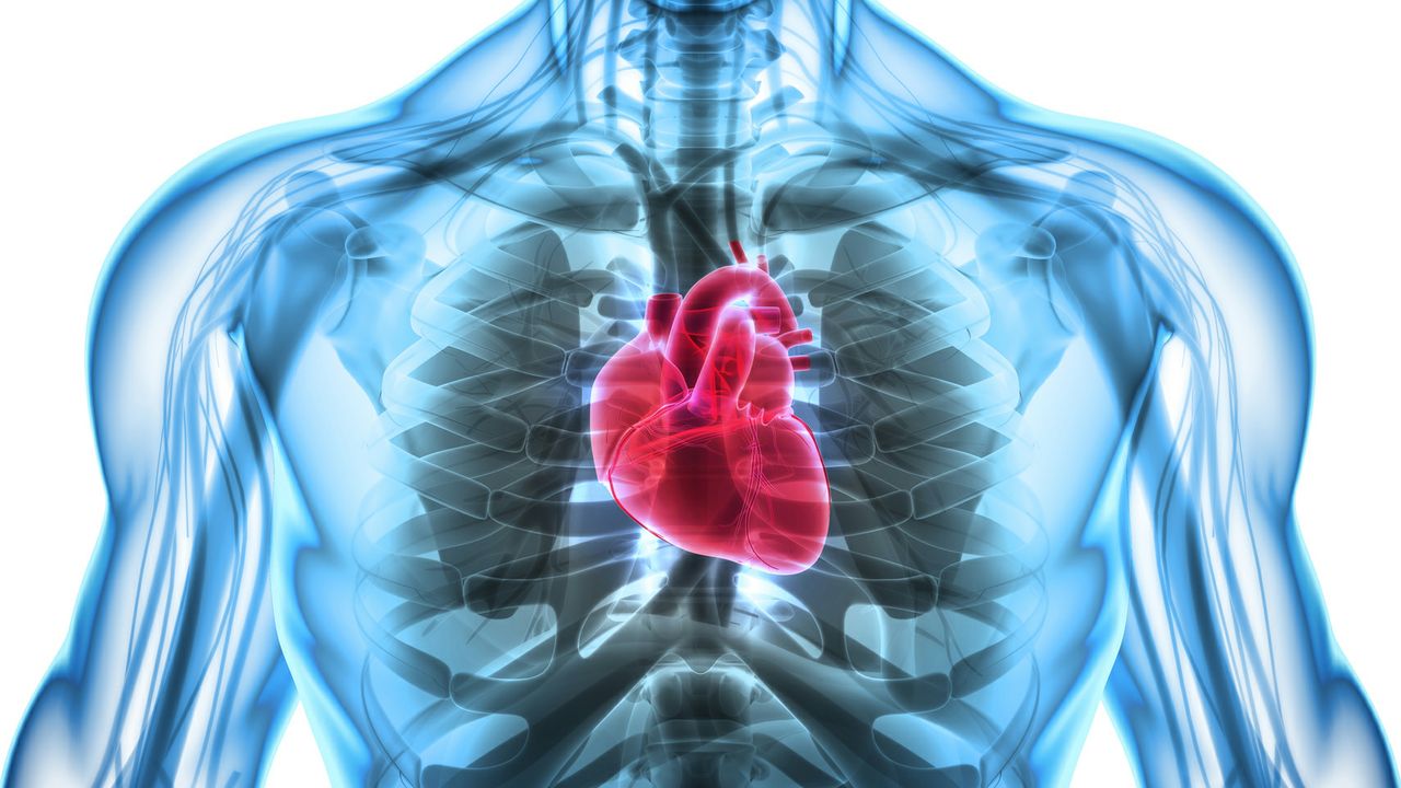 Healthy Hearts
