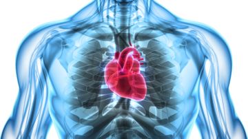 Why an Amazonian tribe has the lowest rate of heart disease of any global population