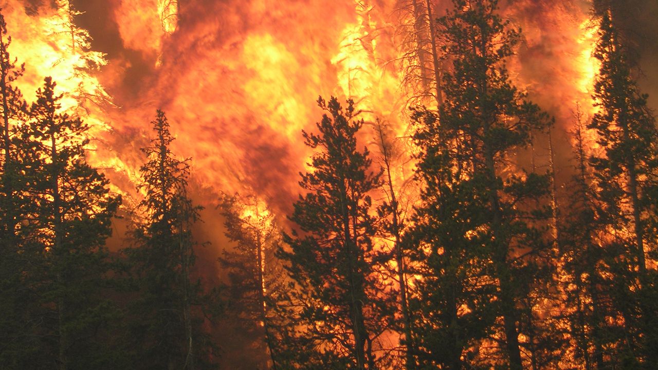 Shoshone National Forest