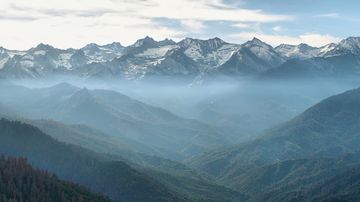 Changing climate could have devastating impact on forest carbon storage