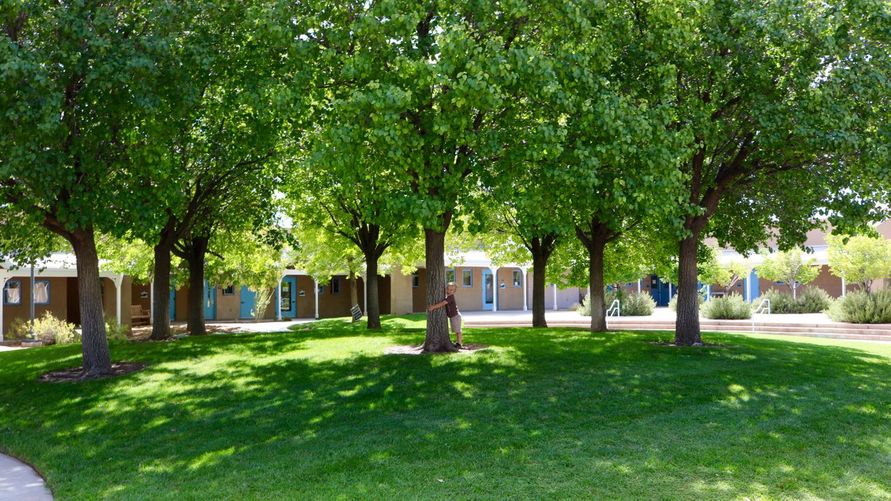 Kids Courtyard
