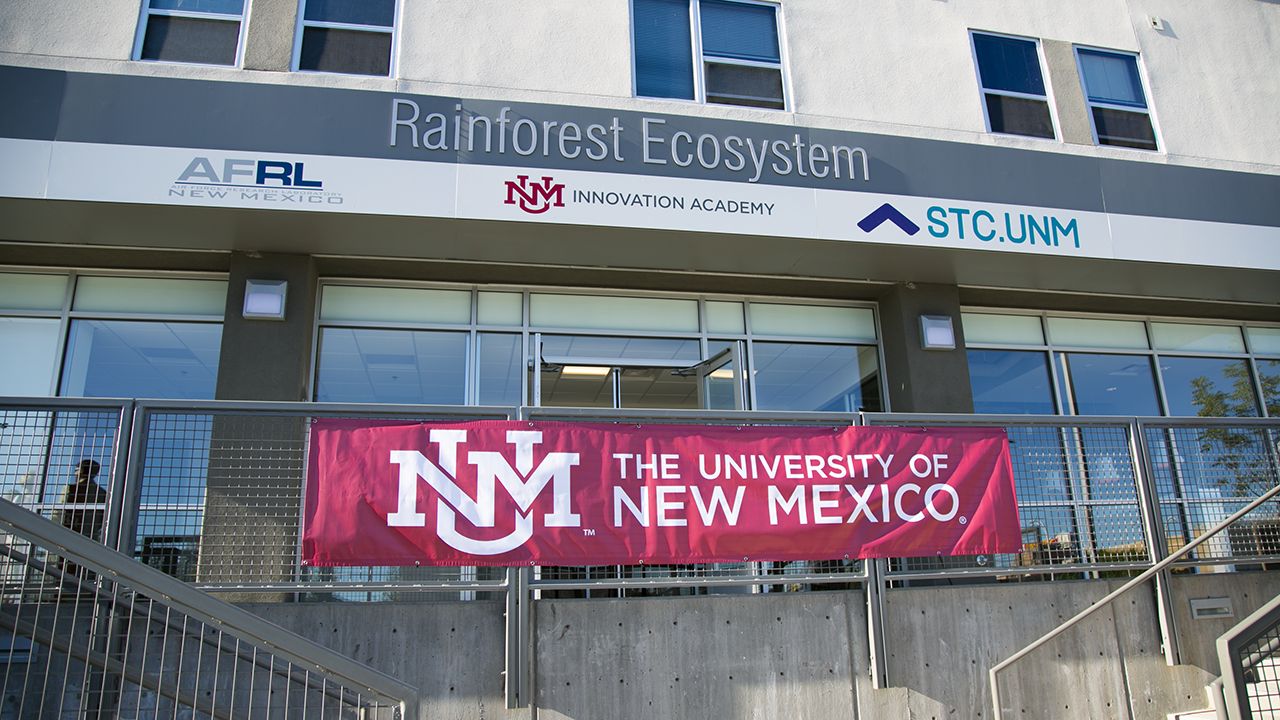 Rainforest Ecosystem