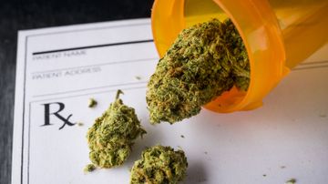 Cannabis offers immediate relief from symptoms of nausea, but product use matters