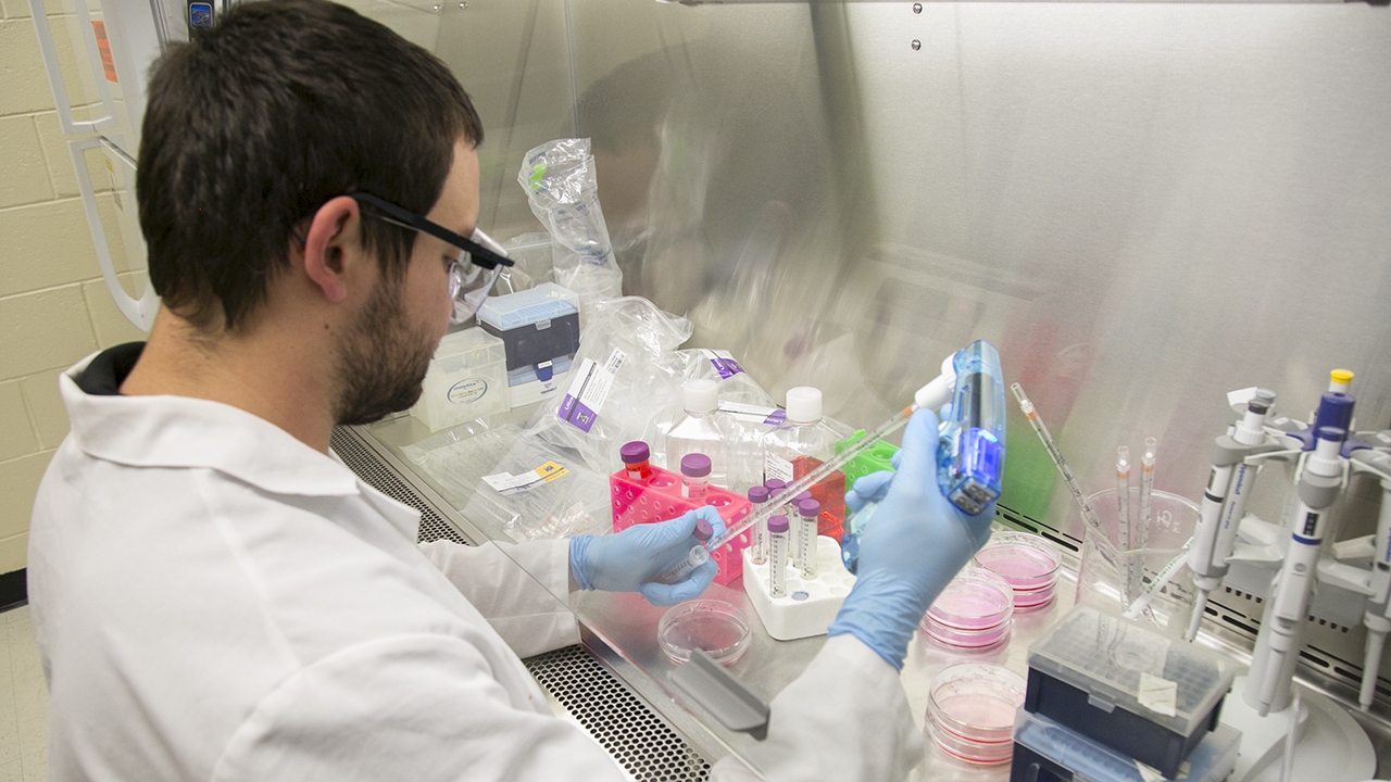 Preparing the Samples