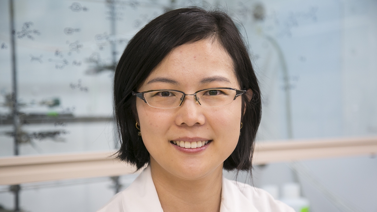 Lina Cui