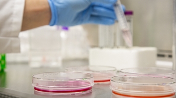 Unlocking the secrets of disease progression