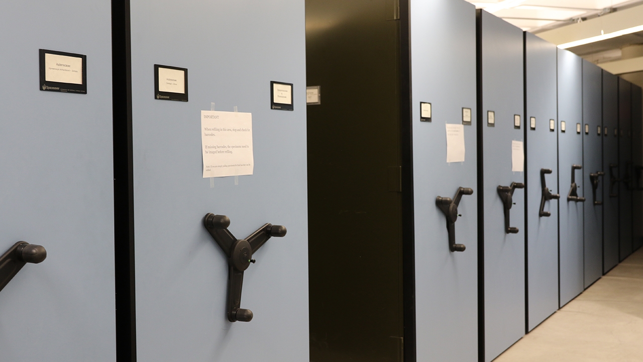 Collection Cabinets