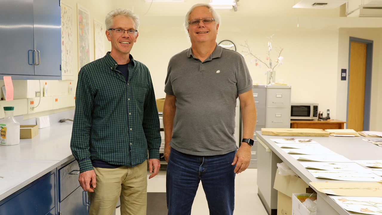 UNM Herbarium