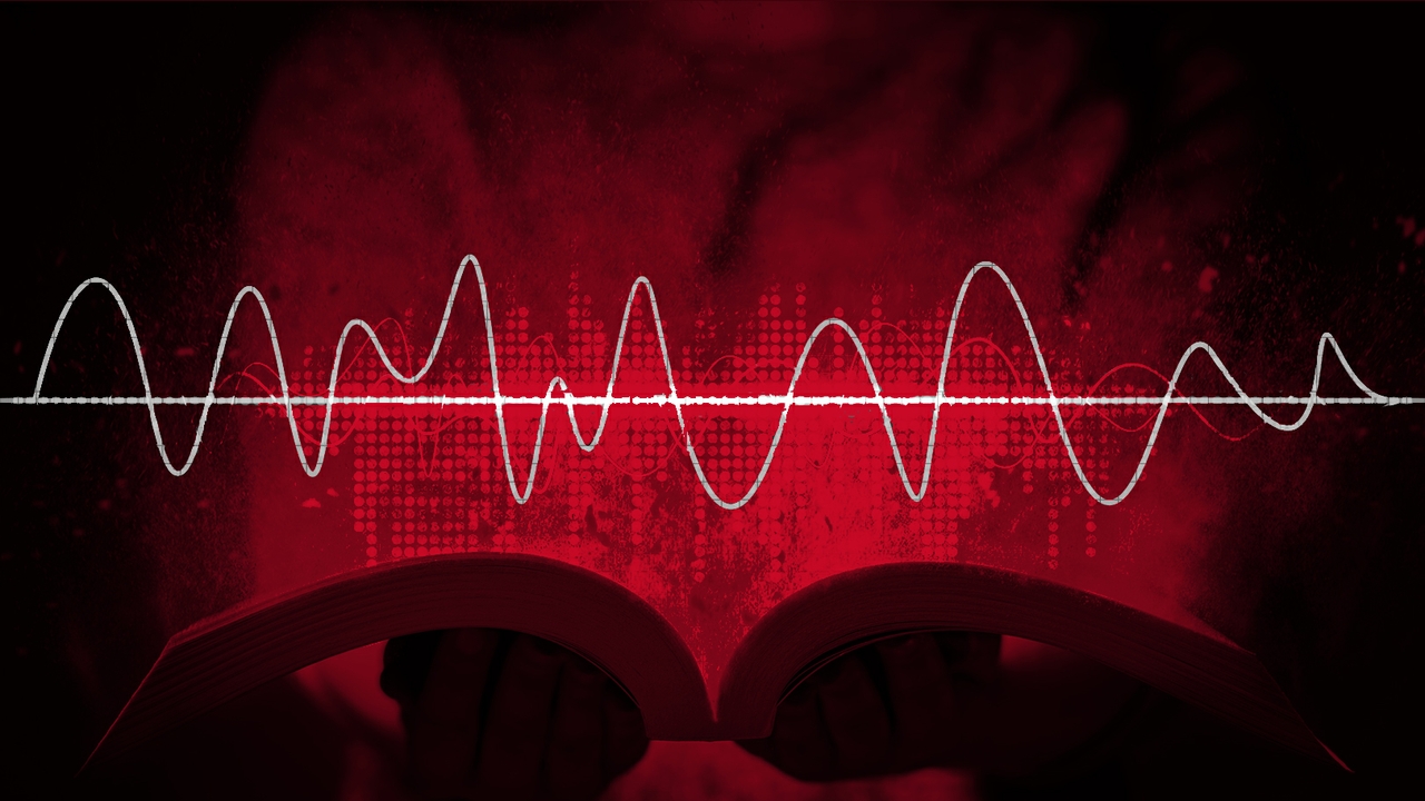 Audio Wave Pic 4