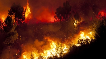 Fighting fires before they spark