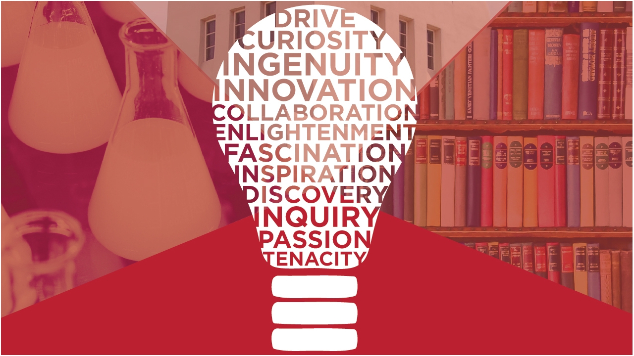 Shared knowledge conference lightbulb
