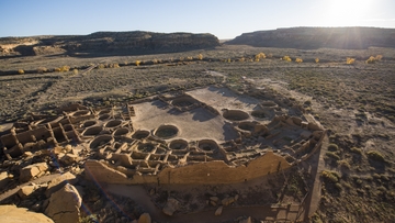 UNM archaeologist Patricia Crown named 2022 AAAS Fellow