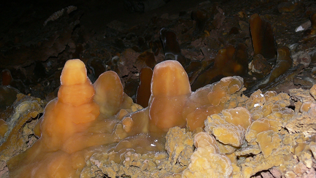 Ft. Stanton Stalagmites