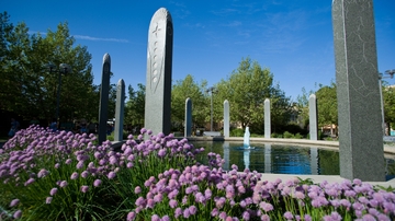 UNM commits to accelerate local climate action