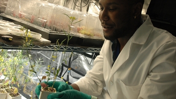 National Science Foundation extends N.M. Alliance for Minority Participation grant