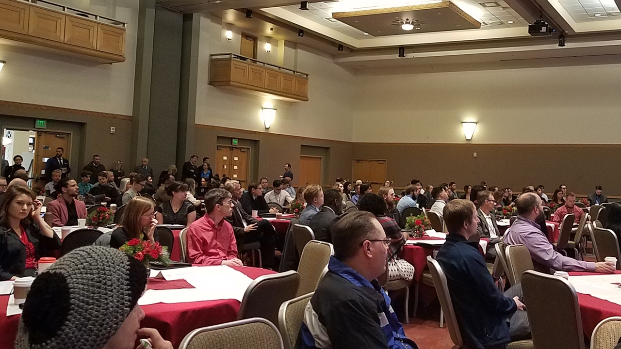 STEM Crowd