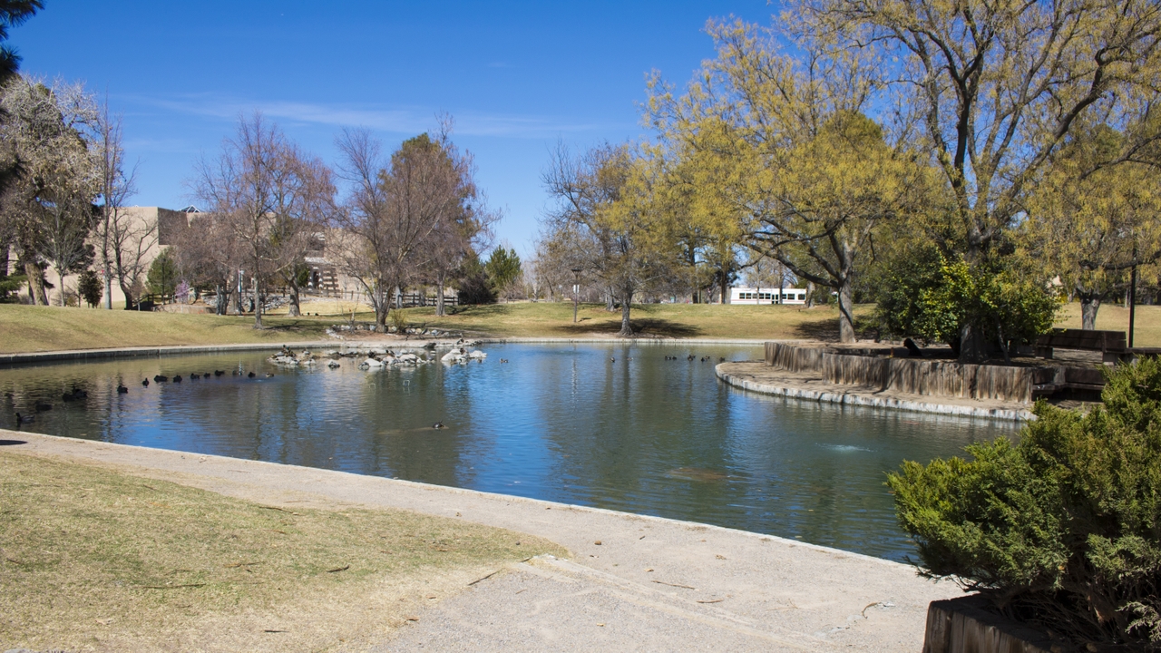 West side of Duck Pond after cleaning 