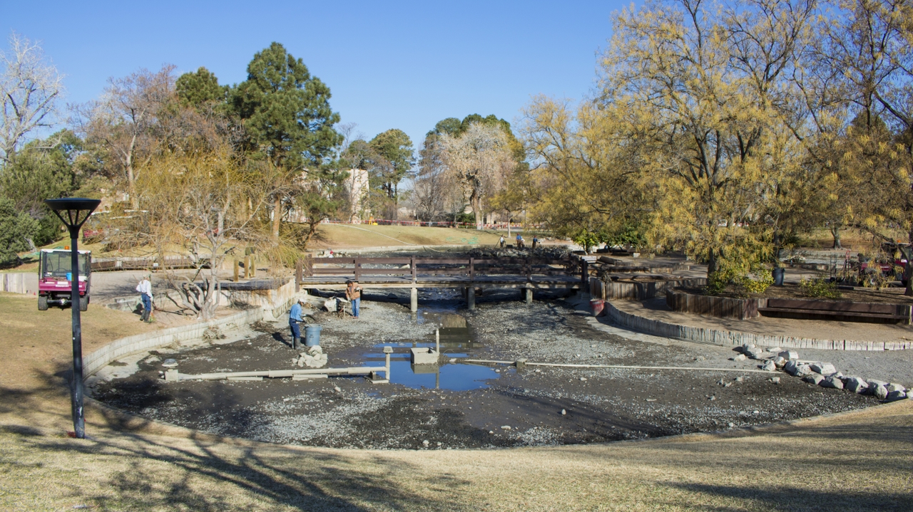 East side of Duck Pond before cleaning 