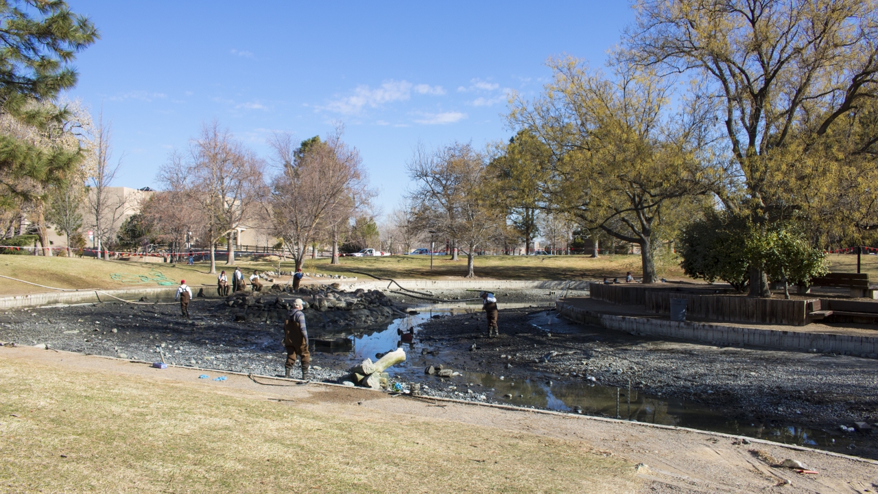 West side of Duck Pond before cleaning 
