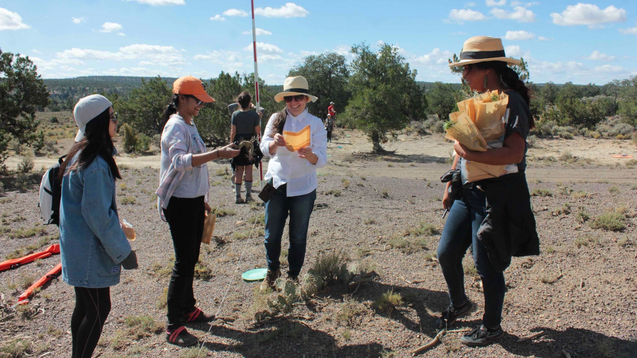 Collecting samples