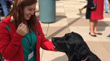Cuddle a Canine returns April 16