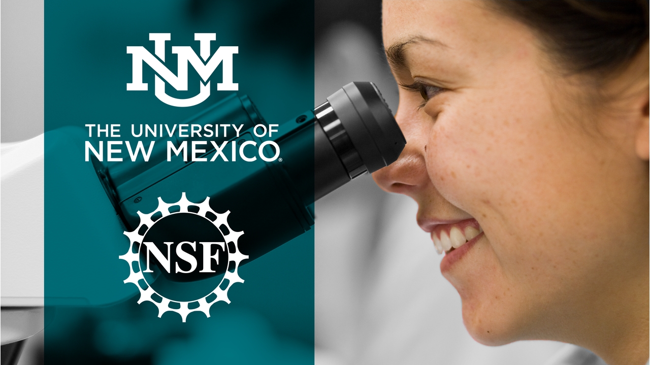 NSF 2018