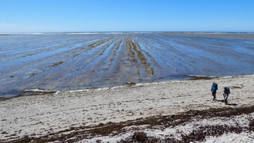UNM scientists find widespread ocean anoxia as cause for past mass extinction