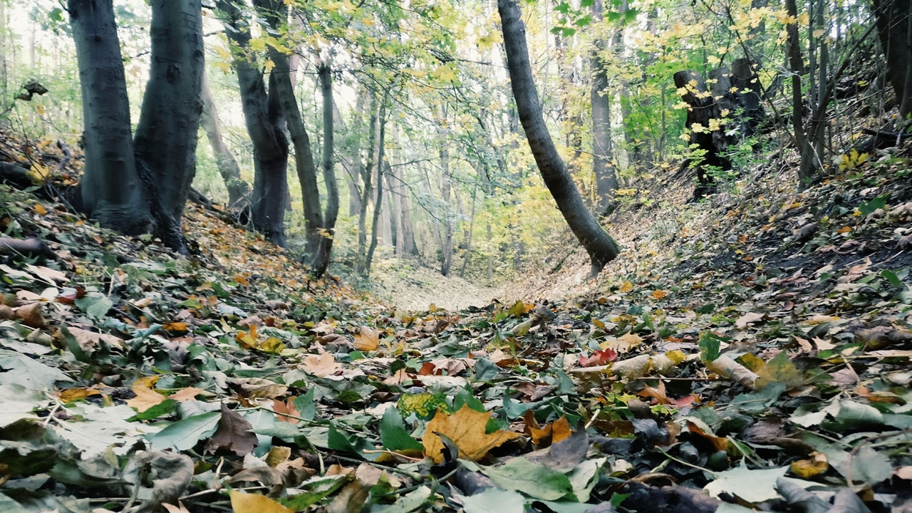 hiking
