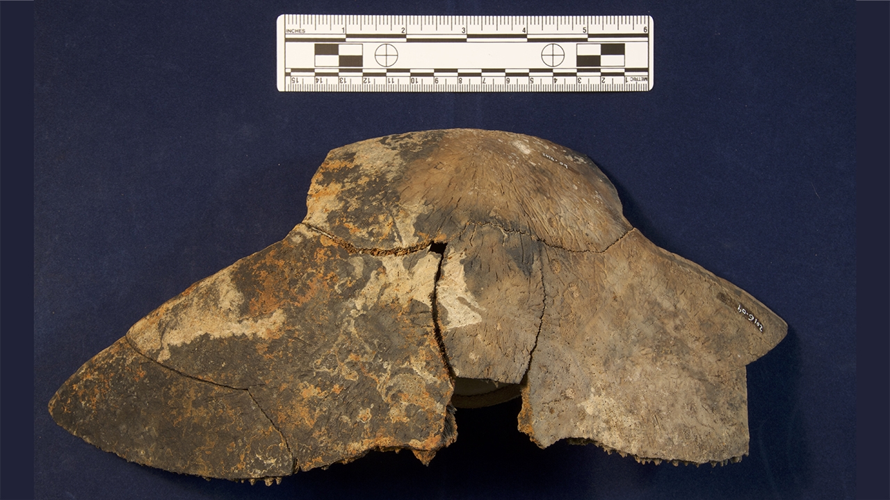 Mid-19th century sample