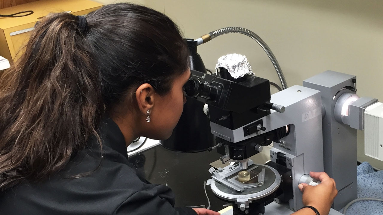 Srinivasan studies NWA 11119
