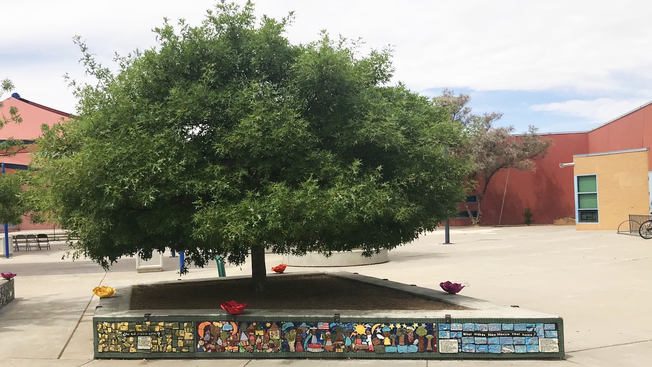 La Mesa Elementary