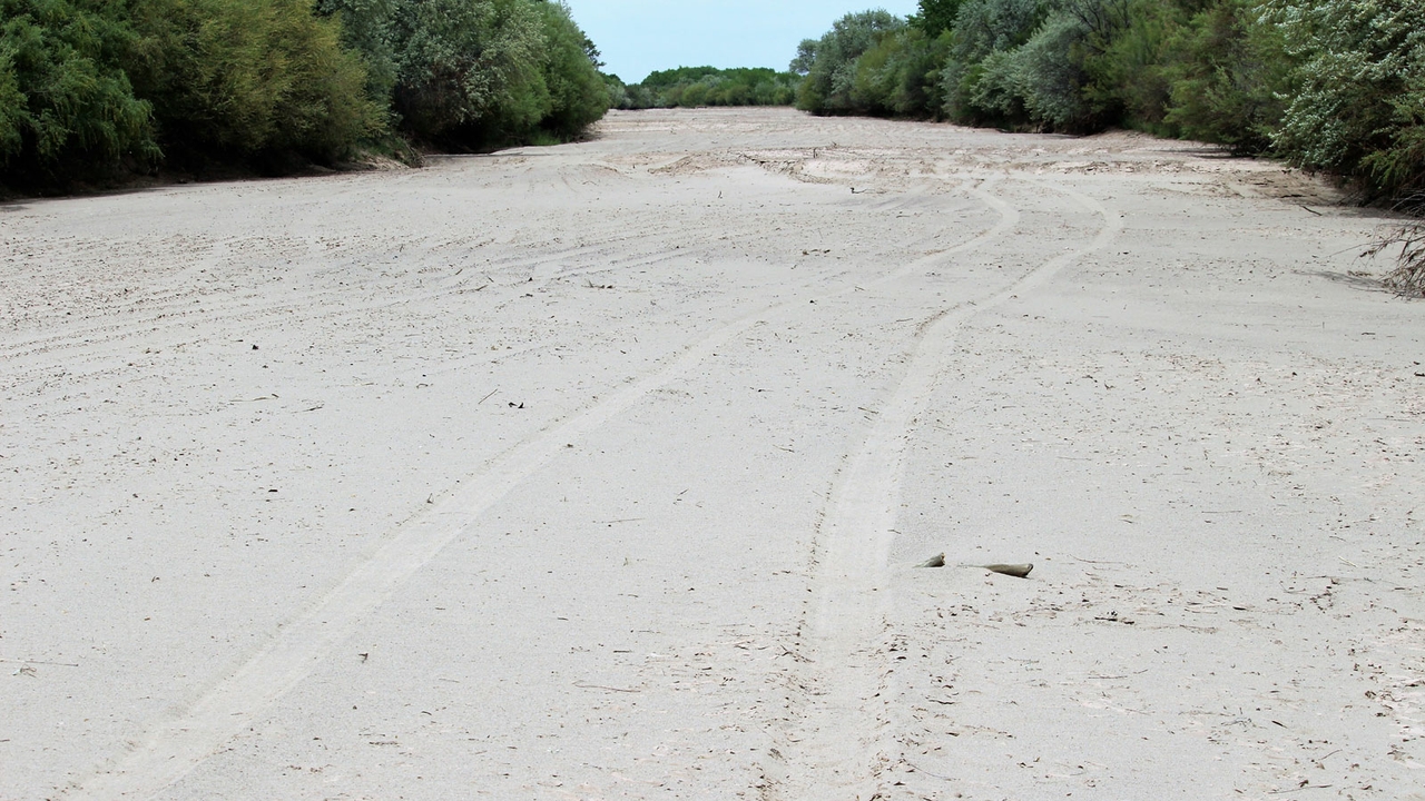 Rio Grande dry