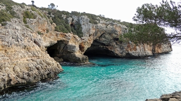 UNM, USF scientists find stable sea levels during last interglacial