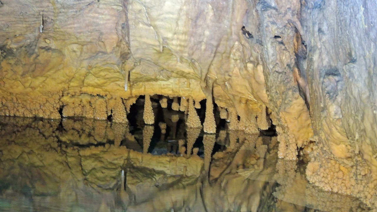 Phreatic overgrowths on speleothem