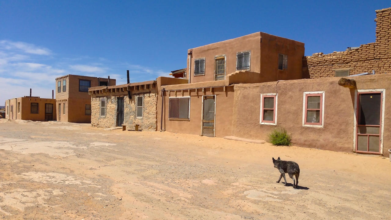 Pueblo dog