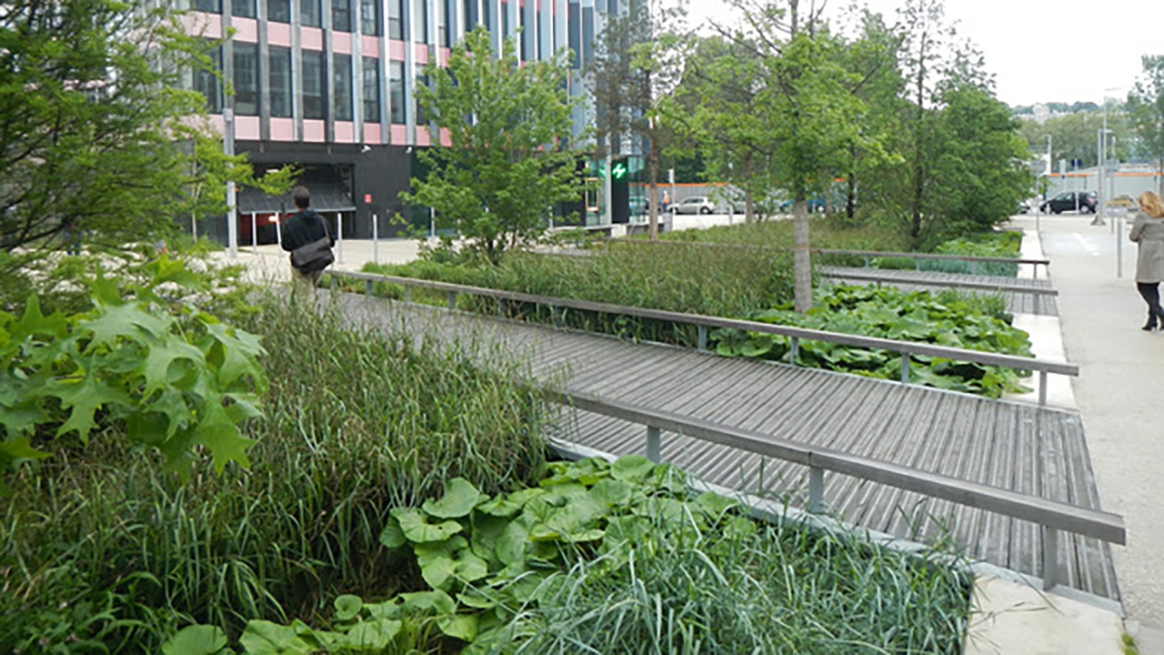 An ecological boulevard